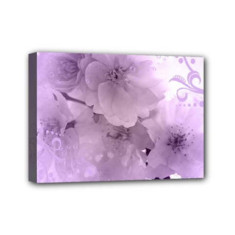 Wonderful Flowers In Soft Violet Colors Mini Canvas 7  x 5  (Stretched)