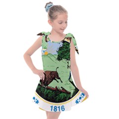 Great Seal Of Indiana Kids  Tie Up Tunic Dress by abbeyz71