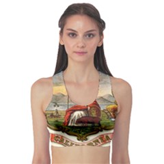 Historical Coat Of Arms Of California Sports Bra by abbeyz71