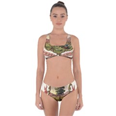 Historical Coat of Arms of Dakota Territory Criss Cross Bikini Set