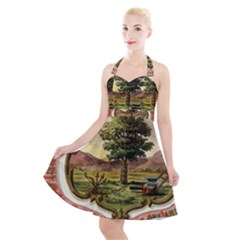 Historical Coat of Arms of Dakota Territory Halter Party Swing Dress 