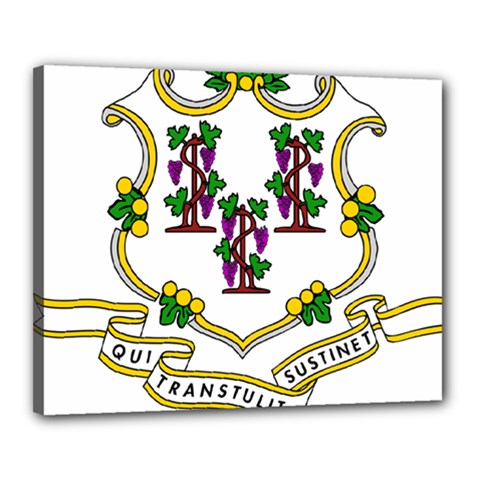 Coat of Arms of Connecticut Canvas 20  x 16  (Stretched)