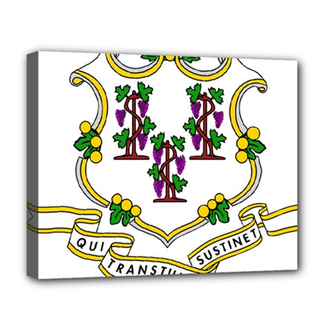 Coat of Arms of Connecticut Deluxe Canvas 20  x 16  (Stretched)