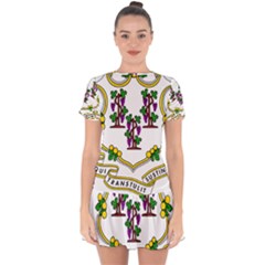 Coat of Arms of Connecticut Drop Hem Mini Chiffon Dress