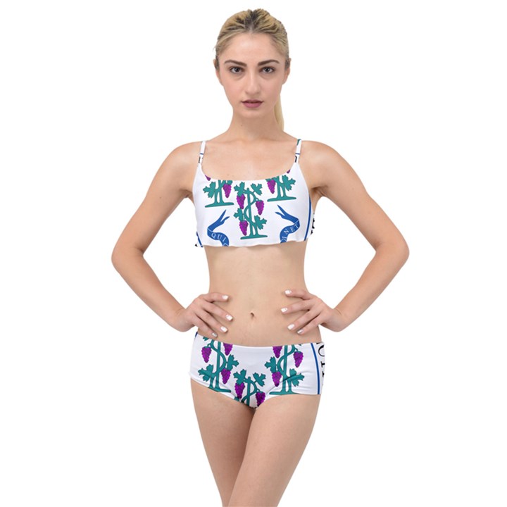 Great Seal of Connecticut Layered Top Bikini Set