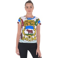 Delaware Coat Of Arms Short Sleeve Sports Top  by abbeyz71