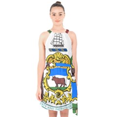 Delaware Coat Of Arms Halter Collar Waist Tie Chiffon Dress by abbeyz71