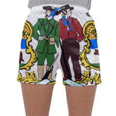 Delaware Coat Of Arms Sleepwear Shorts