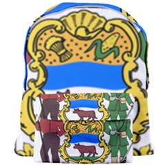 Delaware Coat of Arms Giant Full Print Backpack