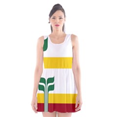 Flag Of Franco-manitobans Scoop Neck Skater Dress by abbeyz71