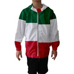 Patriote Flag Hooded Windbreaker (kids) by abbeyz71