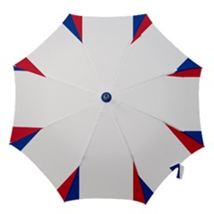 Flag Of Acadia Hook Handle Umbrellas (small) by abbeyz71