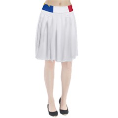 Flag Of Acadia Pleated Skirt by abbeyz71