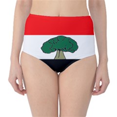 Flag Of Oromia Region Classic High-waist Bikini Bottoms by abbeyz71