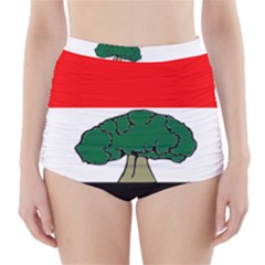 Flag Of Oromia Region High-waisted Bikini Bottoms by abbeyz71