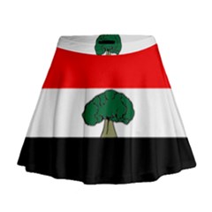 Flag Of Oromia Region Mini Flare Skirt by abbeyz71