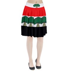 Flag Of Oromia Region Pleated Skirt by abbeyz71