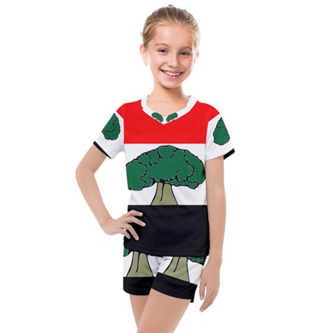 Flag Of Oromia Region Kids  Mesh Tee And Shorts Set by abbeyz71