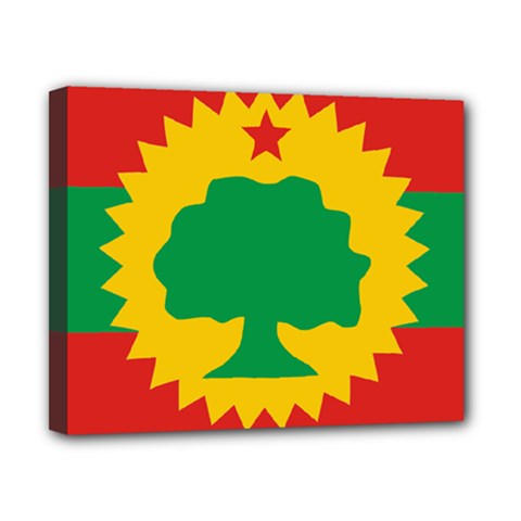 Flag Of Oromo Liberation Front Canvas 10  X 8  (stretched) by abbeyz71