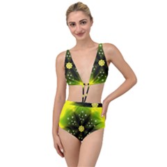 Christmas Flower Nature Plant Tied Up Two Piece Swimsuit by Sapixe