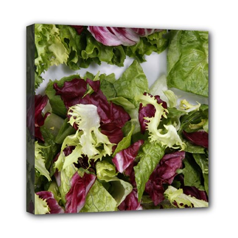 Salad Lettuce Vegetable Mini Canvas 8  x 8  (Stretched)