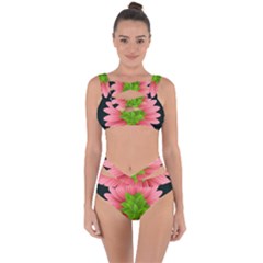 Plant Flower Flowers Design Leaves Bandaged Up Bikini Set 