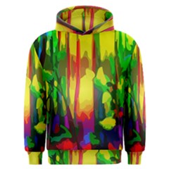 Abstract Vibrant Colour Botany Men s Overhead Hoodie