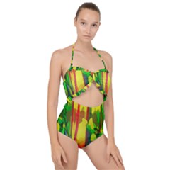 Abstract Vibrant Colour Botany Scallop Top Cut Out Swimsuit
