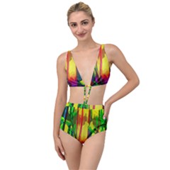 Abstract Vibrant Colour Botany Tied Up Two Piece Swimsuit