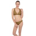 Chevron Brown Retro Vintage Classic Banded Bikini Set  View1