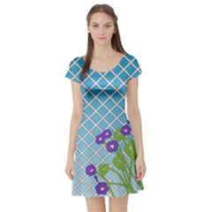 Morning Glory Argyle (blue Sky) Pattern Short Sleeve Skater Dress by emilyzragz