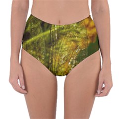Dragonfly Dragonfly Wing Close Up Reversible High-waist Bikini Bottoms by Sapixe