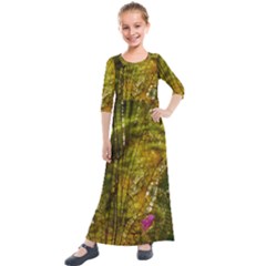 Dragonfly Dragonfly Wing Close Up Kids  Quarter Sleeve Maxi Dress by Sapixe