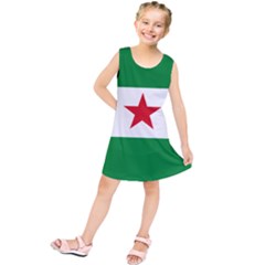 Flag Of Andalusian Nation Party Kids  Tunic Dress by abbeyz71