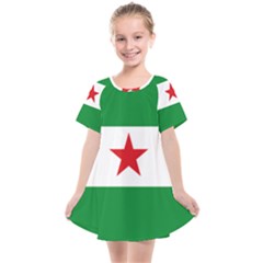 Flag Of Andalusian Nation Party Kids  Smock Dress by abbeyz71