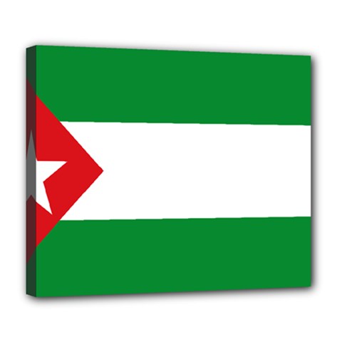 Flag Of Andalucista Youth Wing Of Andalusian Party Deluxe Canvas 24  X 20  (stretched) by abbeyz71