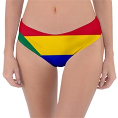 Druze Flag  Reversible Classic Bikini Bottoms