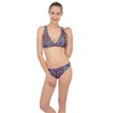 Water Garden Lotus Blossoms In Sacred Style Classic Banded Bikini Set  View1