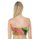 Figure Watercolor Art Nature Bandeau Top View2