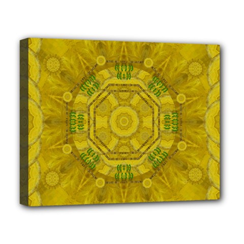 Sunshine Feathers And Fauna Ornate Deluxe Canvas 20  X 16  (stretched) by pepitasart