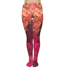 Peach And Pink Zinnias Tights by bloomingvinedesign