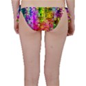 Color Abstract Artifact Pixel Bikini Bottom View2