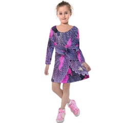 Beefsteak Plant Perilla Frutescens Kids  Long Sleeve Velvet Dress