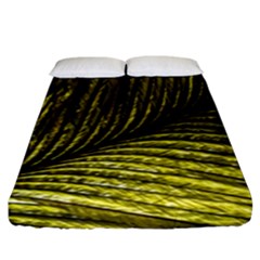 Feather Macro Bird Plumage Nature Fitted Sheet (king Size)