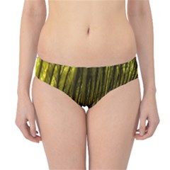 Feather Macro Bird Plumage Nature Hipster Bikini Bottoms by Sapixe