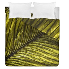 Feather Macro Bird Plumage Nature Duvet Cover Double Side (queen Size) by Sapixe