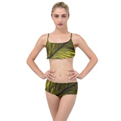 Feather Macro Bird Plumage Nature Layered Top Bikini Set by Sapixe