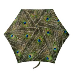 Peacock Feathers Color Plumage Green Mini Folding Umbrellas