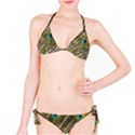 Peacock Feathers Color Plumage Green Classic Bikini Set View1