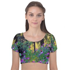 Hazy Morning Sunrise In My Rubio Garden Velvet Short Sleeve Crop Top 